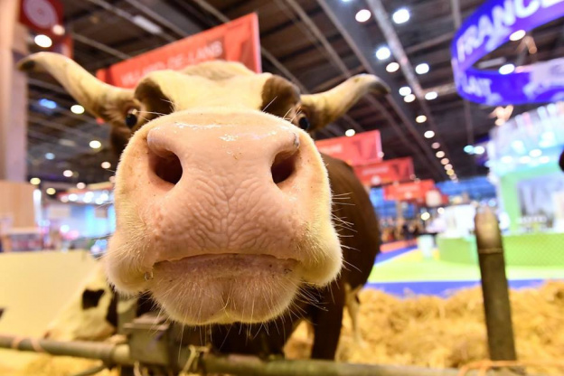 The International Agricultural Show in Paris 2019 – devgrad